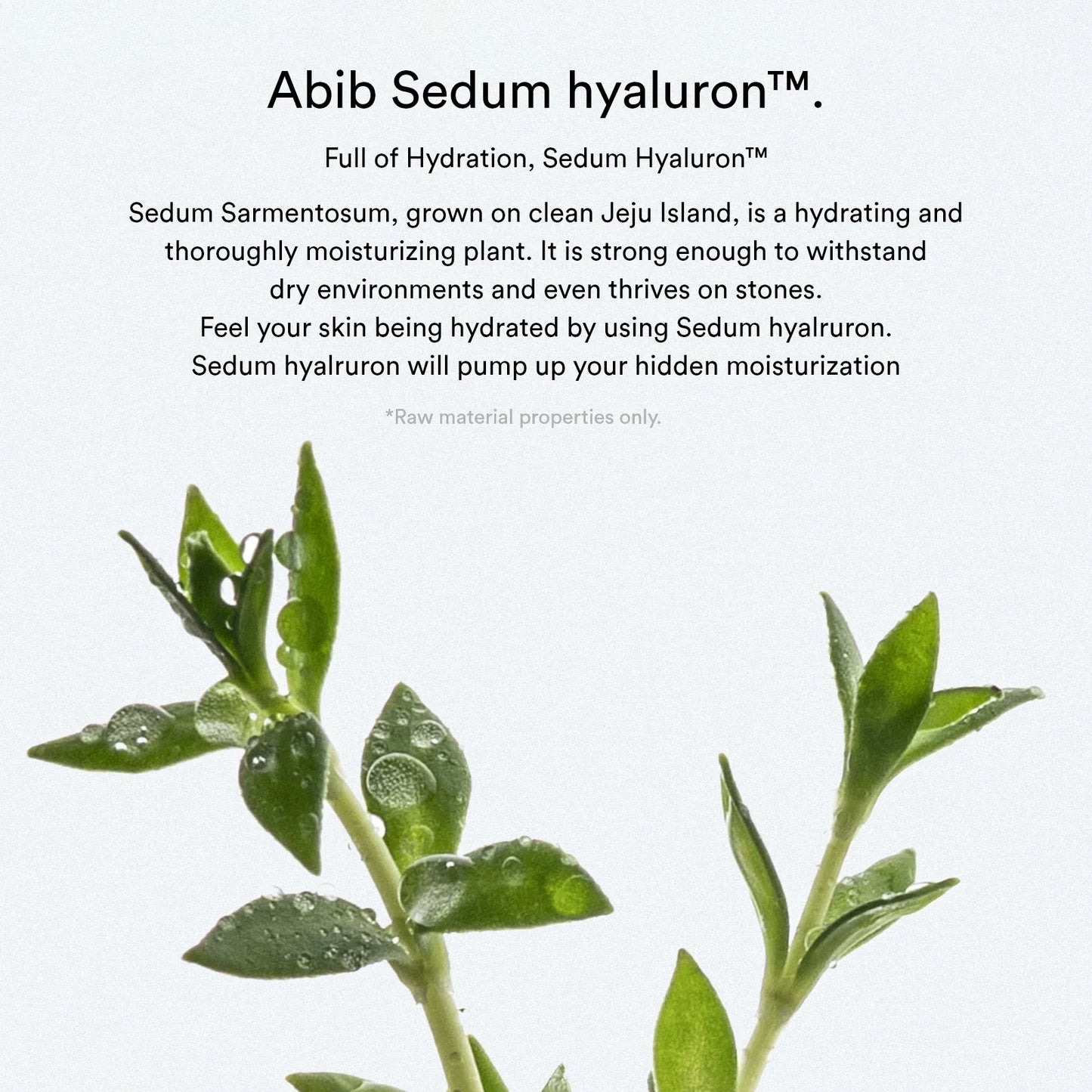SEDUM HYALURON CREME HYDRATING