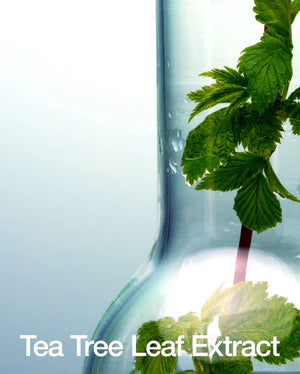 Soin visage doux Anua BHA 2%, tonique exfoliant pour un teint unifié et purifié, en vente chez Sakura Bloom à Morges."