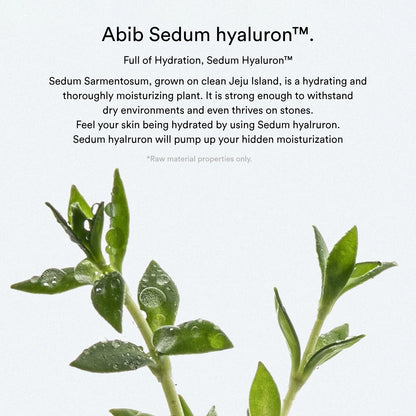 SEDUM HYALURON CREME HYDRATING