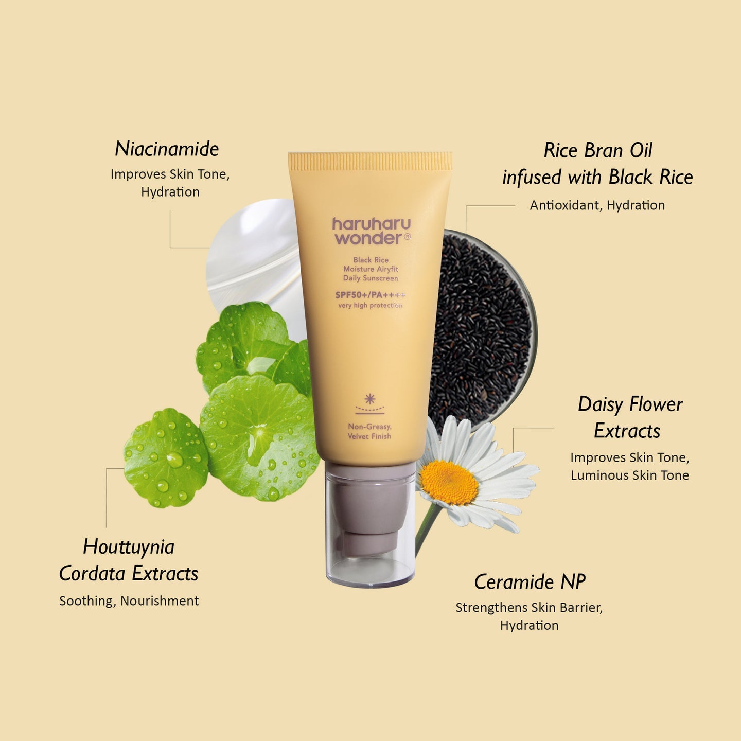 HARUHARU WONDER - BLACK RICE MOISTURE AIRFIT DAILY SUNSCREEN