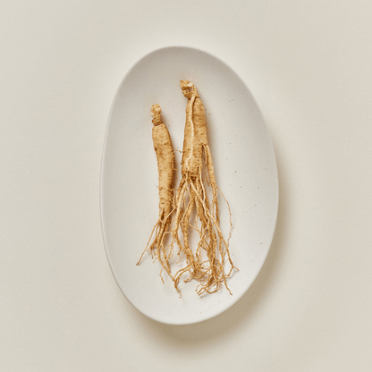 BEAUTY OF JOSEON - GINSENG MOIST SUN SERUM