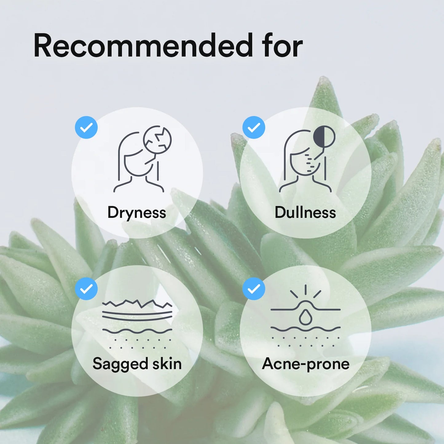 ABIB - COLLAGEN GEL MASK SEDUM JELLY