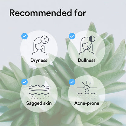 ABIB - COLLAGEN GEL MASK SEDUM JELLY