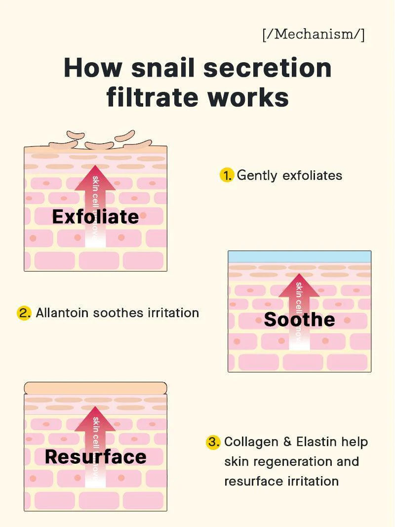 Essence revitalisante qui régénère les tissus coupés tout en hydratant intensément.