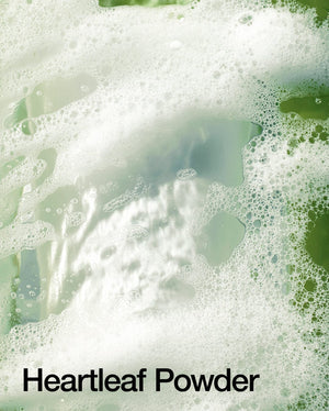 ANUA - HEARTLEAF QUERCETINOL PORE DEEP CLEANSING FOAM