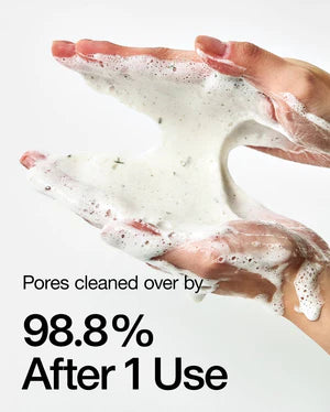 ANUA - HEARTLEAF QUERCETINOL PORE DEEP CLEANSING FOAM