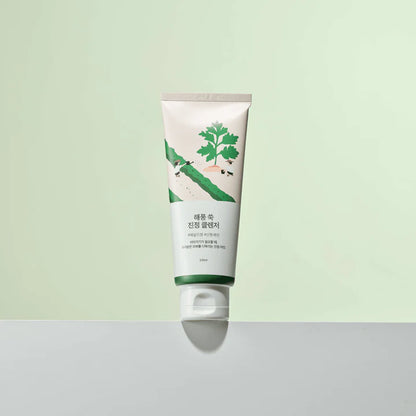 ROUND LAB - MUGWORT CALMING CLEANSER
