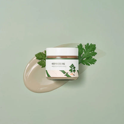 ROUND LAB - MUGWORT CALMING CREAM
