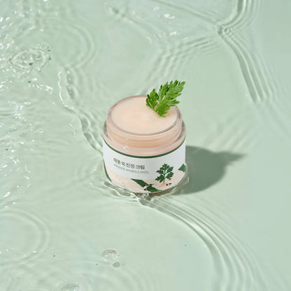 ROUND LAB - MUGWORT CALMING CREAM