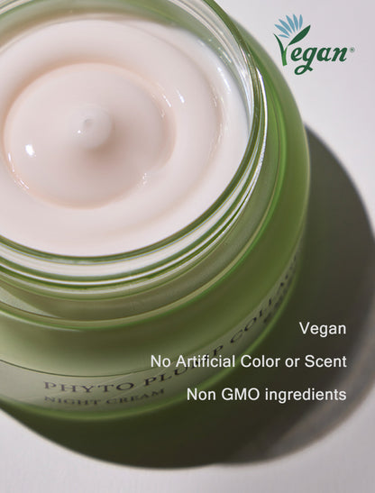 MIZON - PHYTO PLUMP COLLAGEN NIGHT CREAM