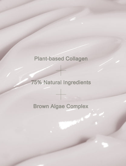 MIZON - PHYTO PLUMP COLLAGEN NIGHT CREAM