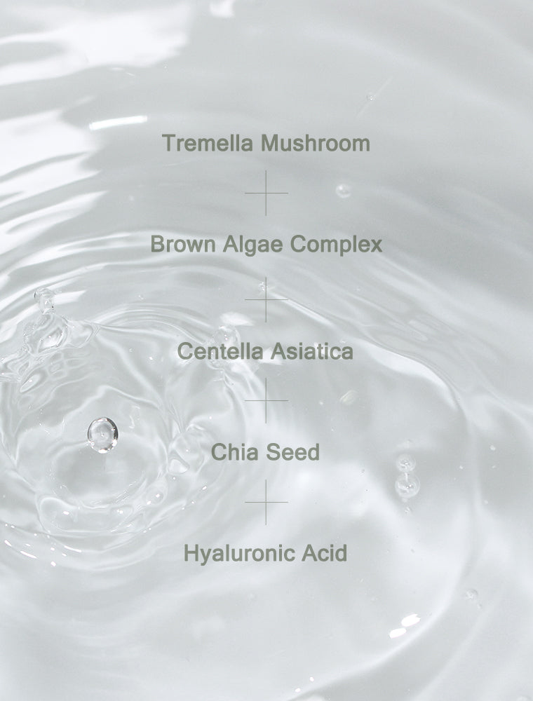 MIZON - PHYTO PLUMP COLLAGEN TONER