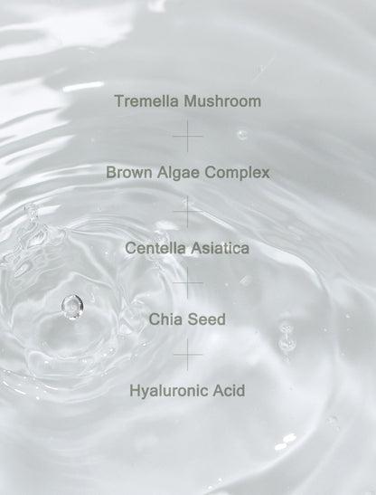 MIZON - PHYTO PLUMP COLLAGEN TONER