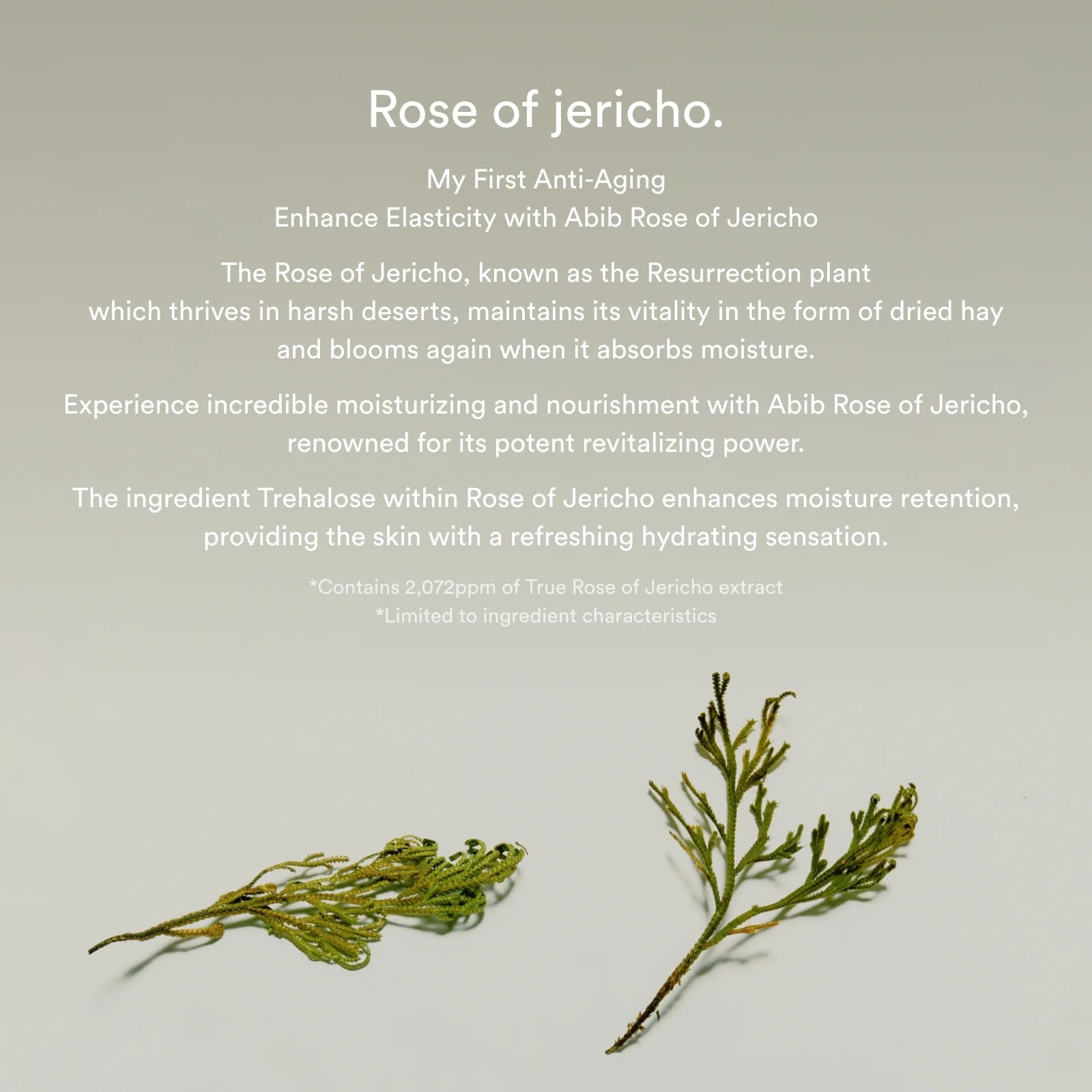 Sérum visage Abib Jericho Rose Bifida, idéal pour une peau éclatante et hydratée, disponible chez Sakura Bloom à Morges.