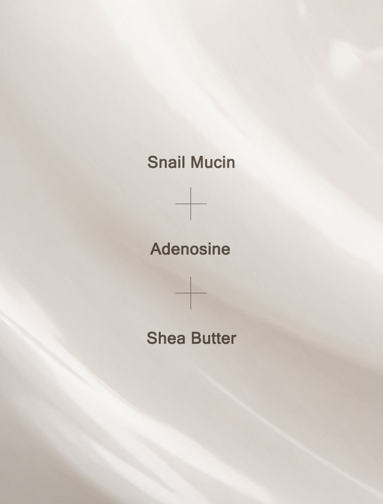 MIZON - SNAIL WRINKLE CARE SLEEPING PACK