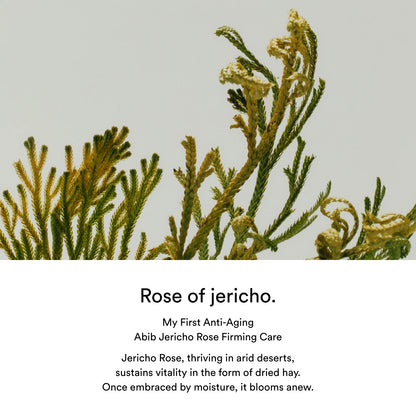 Soin doux et apaisant Abib Jericho Rose Toner, parfait pour calmer les rougeurs et équilibrer la peau, chez Sakura Bloom à Morges.
